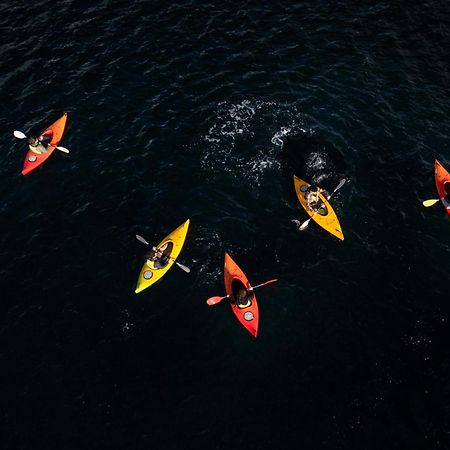 Milford Sound Overnight Cruise - Fiordland Discovery Экстерьер фото